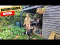 Autumn Garden Update: What am I planting NOW?