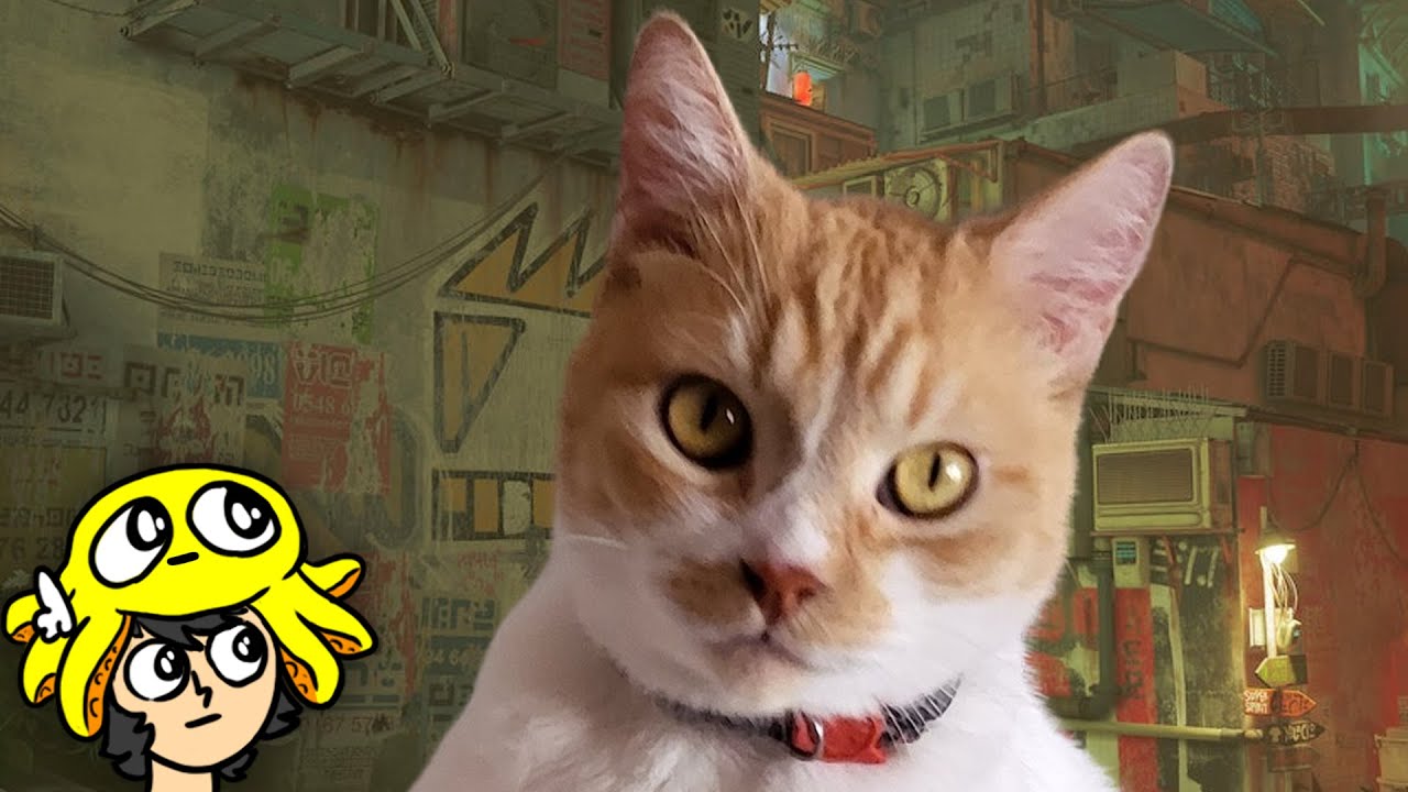 meu gato fugiu e agora ta na vida boa