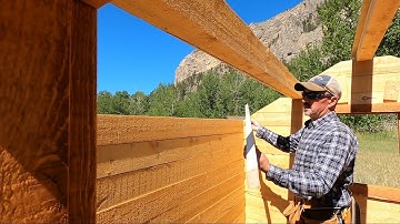 Tiny Log Cabin Build (Micro cabin) Part 4