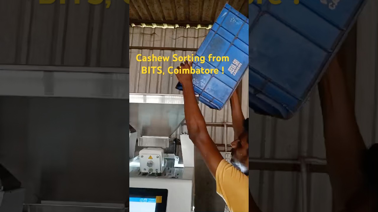 Cashew Sorting Machine | BITS Intelligent Sorter 