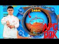 PUBG MOBILE Gameplay Full MATCH ULTIMATE ROYAL APG DOK