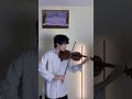Violin 枫 Violin 枫