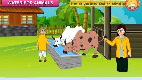 Water for Animal And Plants | Chapter 16 | Gurukul Publication