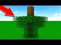 ЧТО ЕСЛИ В МАЙНКРАФТЕ НЕ БУДЕТ ПРАВИЛ И ЛОГИКИ?! ТРОЛЛИНГ КАРТА В MINECRAFT