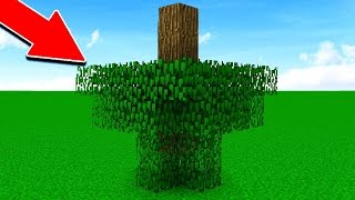 ЧТО ЕСЛИ В МАЙНКРАФТЕ НЕ БУДЕТ ПРАВИЛ И ЛОГИКИ?! ТРОЛЛИНГ КАРТА В MINECRAFT ЧТО ЕСЛИ В МАЙНКРАФТЕ НЕ БУДЕТ ПРАВИЛ И ЛОГИКИ?! ТРОЛЛИНГ КАРТА В MINECRAFT