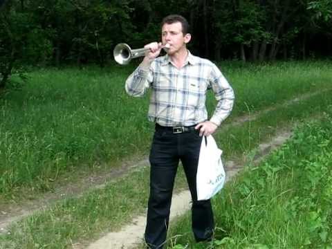 скачать горн пионерский