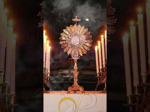 ORACION DE LA NOCHE A JESÚS SACRAMENTADO DE HOY MARTES 20 DE ENERO DEL 2026.