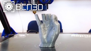 BCN3D+ Printing OK