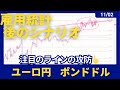 【11/02】週間相場分析＆振り返り💡雇用統計後のシナリオについて✏️FX】