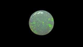 Polished Australian Lightning Ridge Stellar Opal Stone