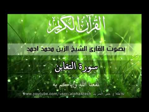 الشيخ الزين محمد احمد سورة التغابن      