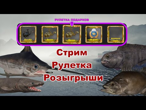 Видео: Русская Рыбалка 4 Стрим ,фарм, Большая рыба )