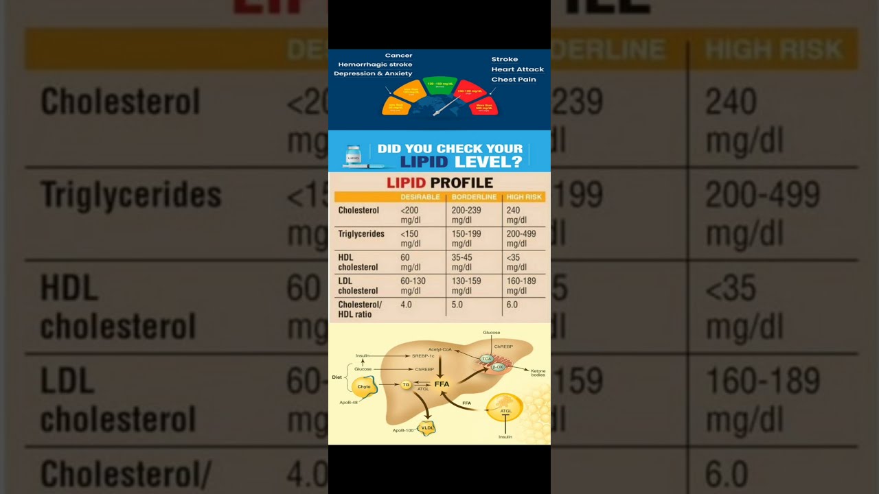 Know Your Cholesterol Lipid Profile Normal Values 