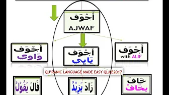 Ajwaf Yaee HOLLOW verbs  Lesson20 Unit2 LIVE  SARA YASEERU Quranic Lang Made Easy By Hafiza Iffath H