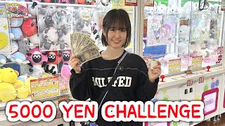 5000 YEN CRANE GAME CHALLENGE!!