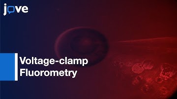 Voltage-clamp Fluorometry in Oocytes by Fluorescent Unnatural AA | Protocol Preview
