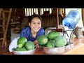 Harvesting papaya to make pickled "Atsaw   PorkChicharon" for dinner | Province, Bohol Philippines