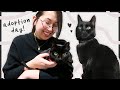 I Adopted A Cat! 🐾 First Day Vlog + Supplies Haul