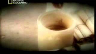 [Hindi] Nat-Geo Documentary Turin Shroud - An evidence of Jesus Surviving Crucifixion
