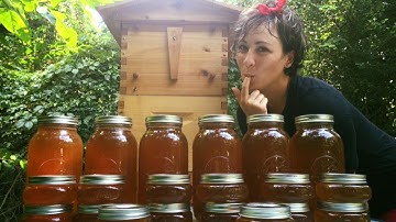 FlowHive: Our First Harvest!!!