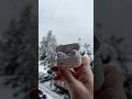 🍏AirPods Pro 2❄️☃️#apple #airpods #airpodspro #unboxing #tech #sound #music #istyle #gigatron 🇷🇸
