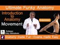 Language of Anatomy - Movement  The Funky Professor