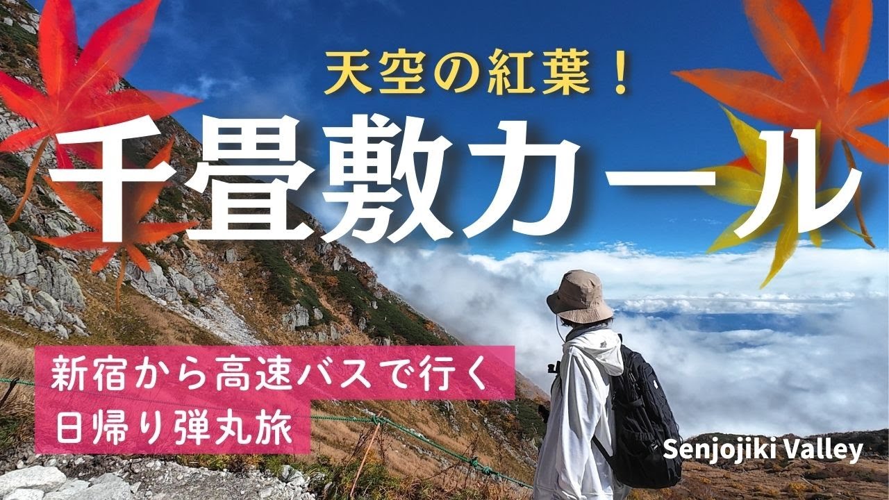 【紅葉】秋色の千畳敷カールへ🍁新宿から高速バスで行く！弾丸日帰りひとり旅｜木曽駒ケ岳｜長野
