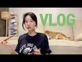 [vlog]일상 브이로그(우중캠핑/캠핑과 먹방 사이/치즈닭갈비/쭈꾸미/K후식볶음밥/그릇사고 폴로 쇼핑하고/한정식/시바견 택이)