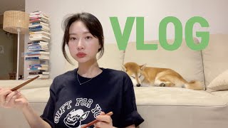 [vlog]일상 브이로그(우중캠핑/캠핑과 먹방 사이/치즈닭갈비/쭈꾸미/K후식볶음밥/그릇사고 폴로 쇼핑하고/한정식/시바견 택이)