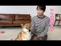 飼い主の診断結果が出たのでお話しします