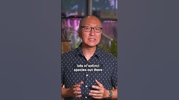 Reviving Extinct Animals?! Should We Do It?