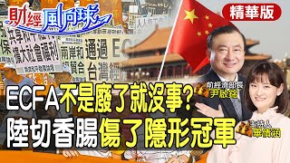 ECFA不是廢了就沒事?亮哥示警禁採購 陸祭反傾銷加重力道 feat.尹啟銘【#財經風向球】精華版@CtiTv @CtiFinance