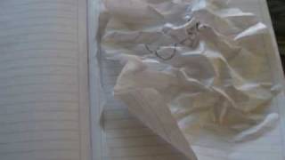 stopmotion3.mpg