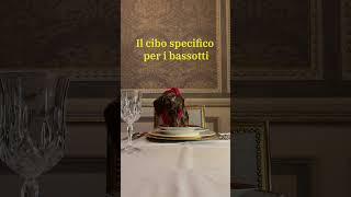 Vi presentiamo The Tuscan Paw!