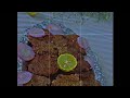 Pakistani chapli kabab | beef chapli kabab