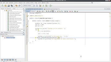 01.1 Tutorial java-Excepciones