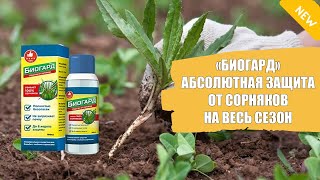 ГРУНДОР ДО И ПОСЛЕ