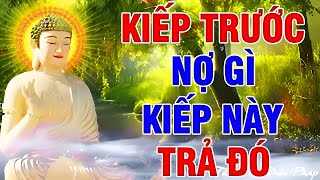 Chuyện Nhân Quả Báo Ứng Ở Đời KIẾP TRƯỚC NỢ GÌ KIẾP NÀY TRẢ ĐÓ - Lời Phật Dạy Hay Nhất