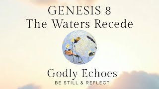 Genesis 8 The Waters Recede A Quiet Renewal