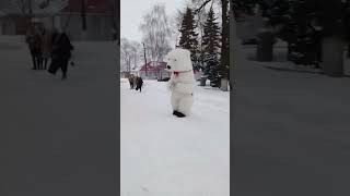 Неожиданно. Мишка на улицах поселка. зимахолода весело настроение