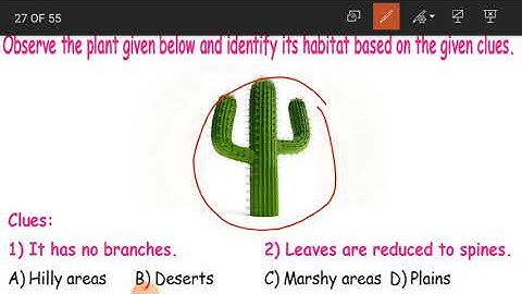 4TH | SCIENCE | PLANTS | OLYMPIAD WORKSHEET | AIMS-INDIA