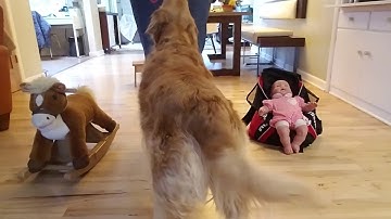 KPA final chain training videos(49)