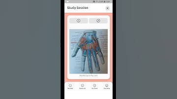 Creating flashcards