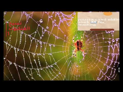 نسيج العنكبوت 1 أجاثا كريستي