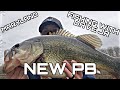 FISHING WITH DAVE JR- NEW PB CAUGHT GIANT MARYLAND BASS