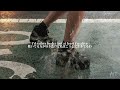 《和訳》Rain On Me / Lady Gaga &amp; Ariana Grande