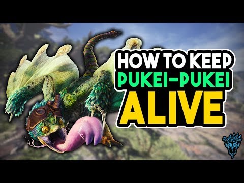 Видео: Monster Hunter World - стратегия на Pukei-Pukei, слабост на Pukei-Pukei и как да получите Pukei-Pukei Shell, Quill, Sac, Reil и Scale