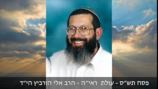 פסח תשנ״ב   מהלך הזמנים    הרב אלי הורביץ הי״ד