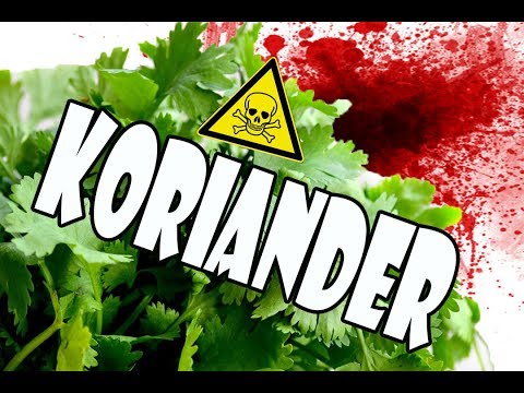 Video: Unterschied Zwischen Koriander Und Koriander