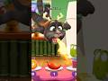 My Tom Chilli Eating My Talking Tom 2 😱 #shorts #tom #funny #challenge #cute #cat #mytalkingtom2